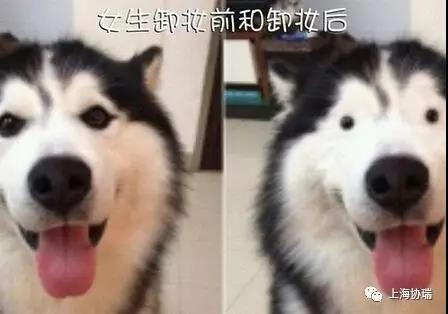 微信图片_20171117135055.jpg
