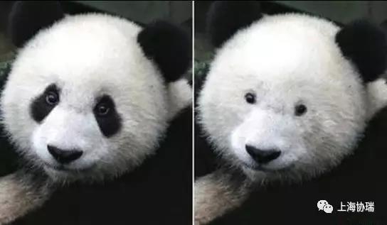 微信图片_20171117135058.jpg