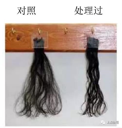 微信图片_20171129120015.jpg