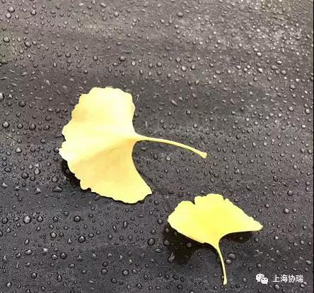 微信图片_20171129133751.jpg