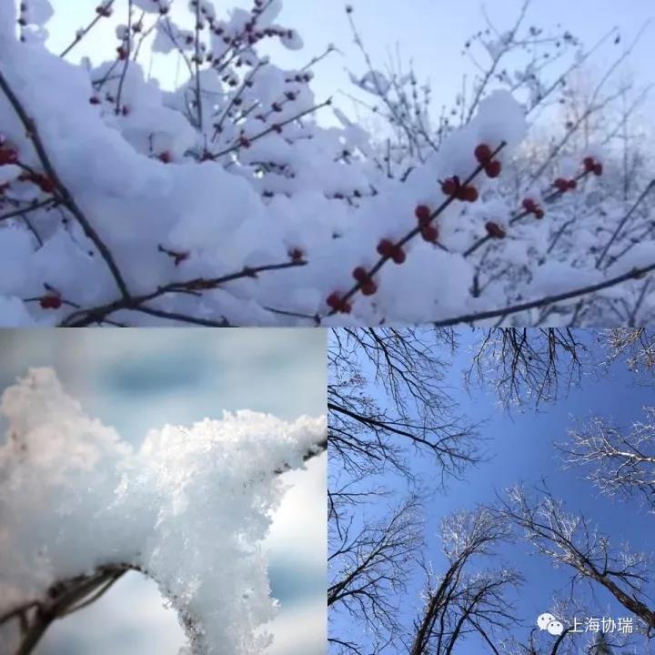 微信图片_20171129134527.jpg