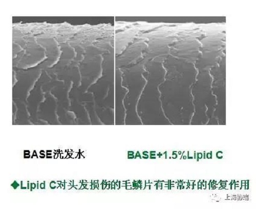 微信图片_20171129120020.jpg